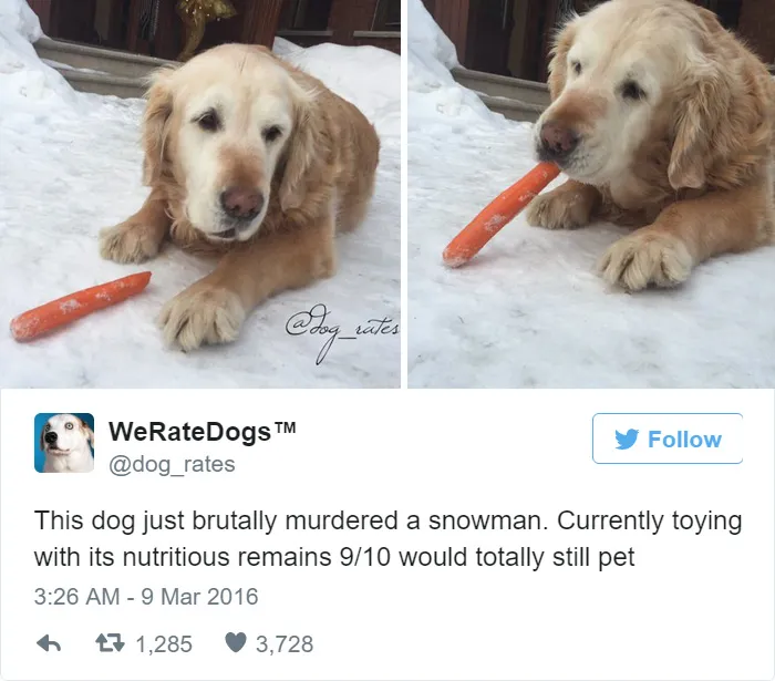 Dog Rating
