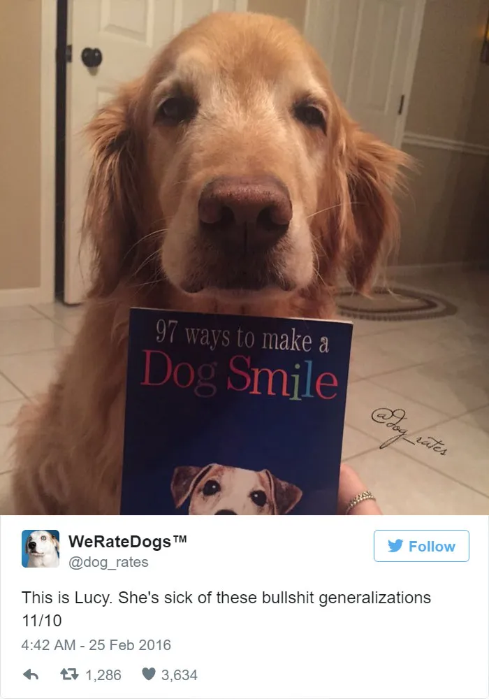 Dog Rating