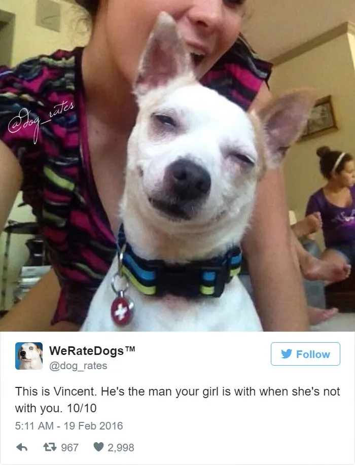 Dog Rating