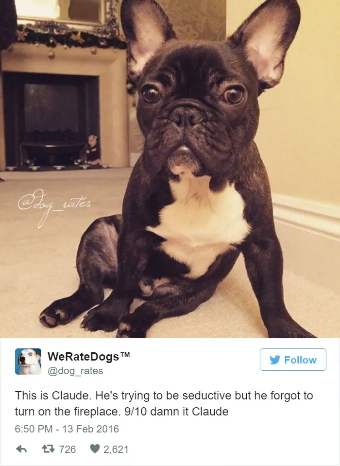 Dog Rating