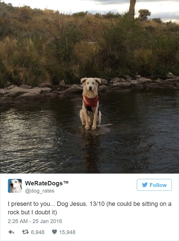 Dog Jesus. 13/10