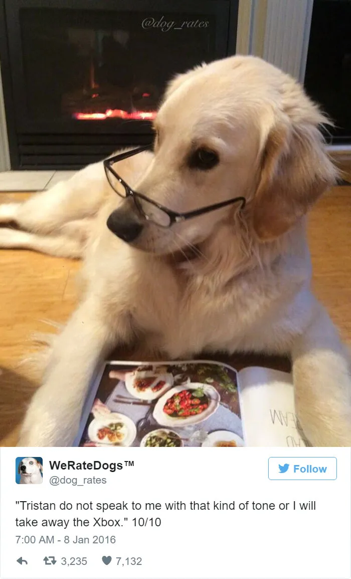 Dog Rating