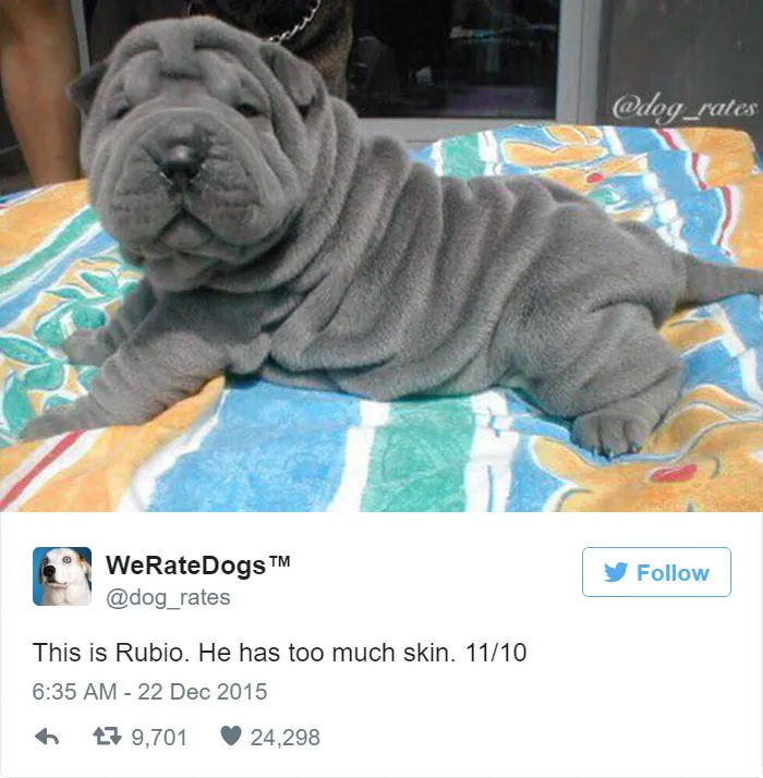 Dog Rating