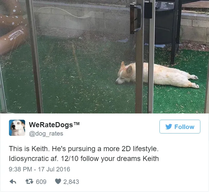 Dog Rating