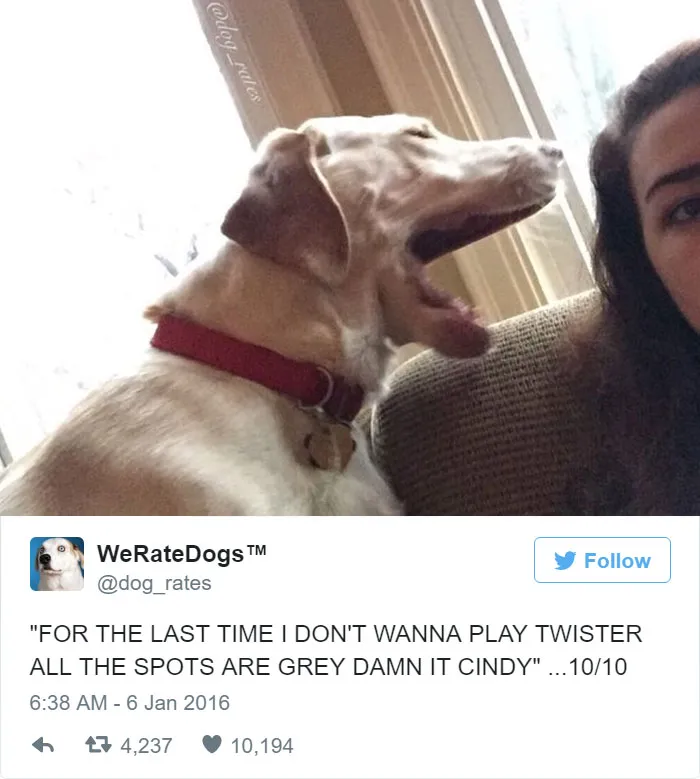Dog Rating