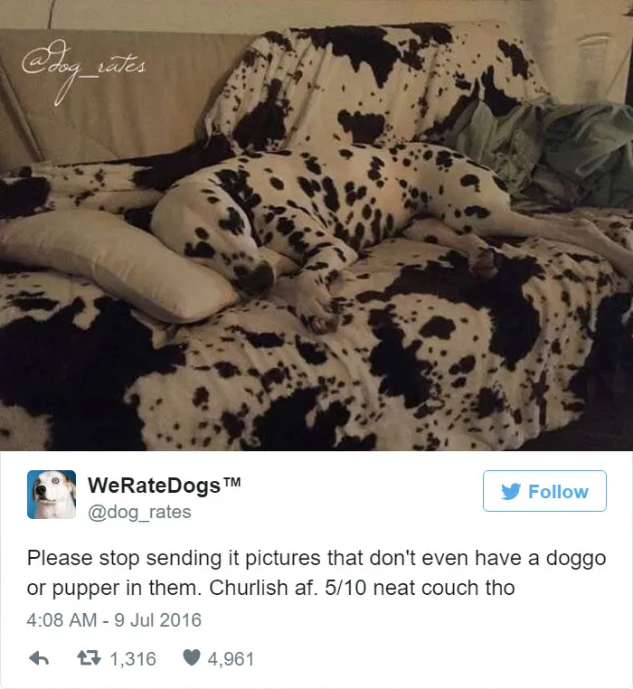 Dog Rating