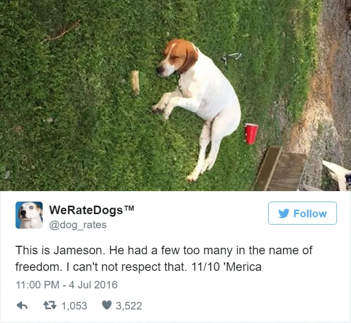 Dog Rating