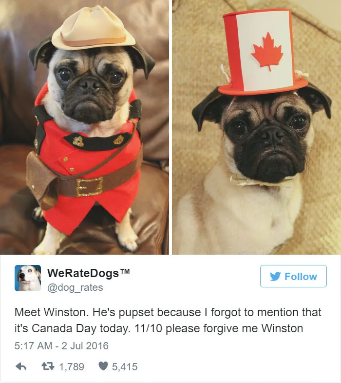 Dog Rating