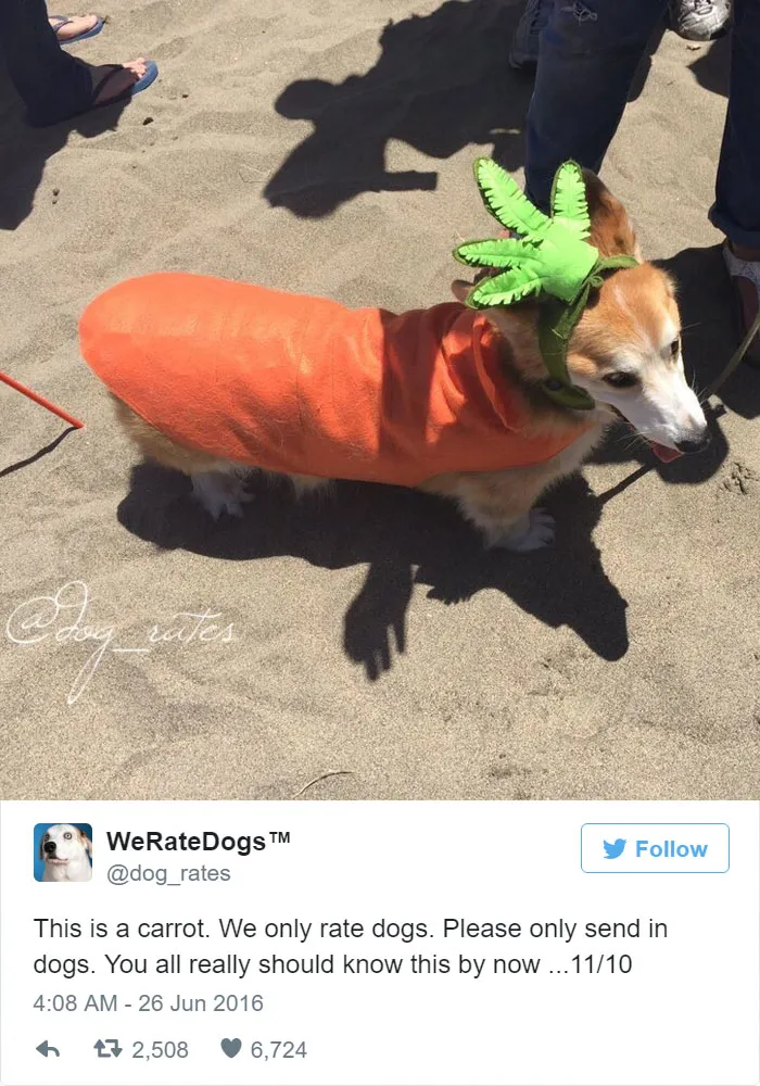 Dog Rating