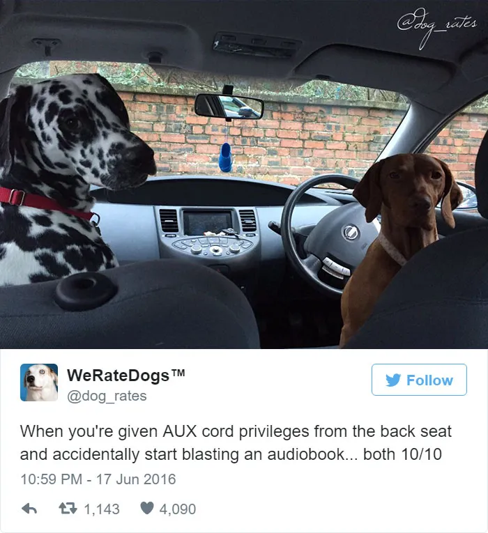 Dog Rating