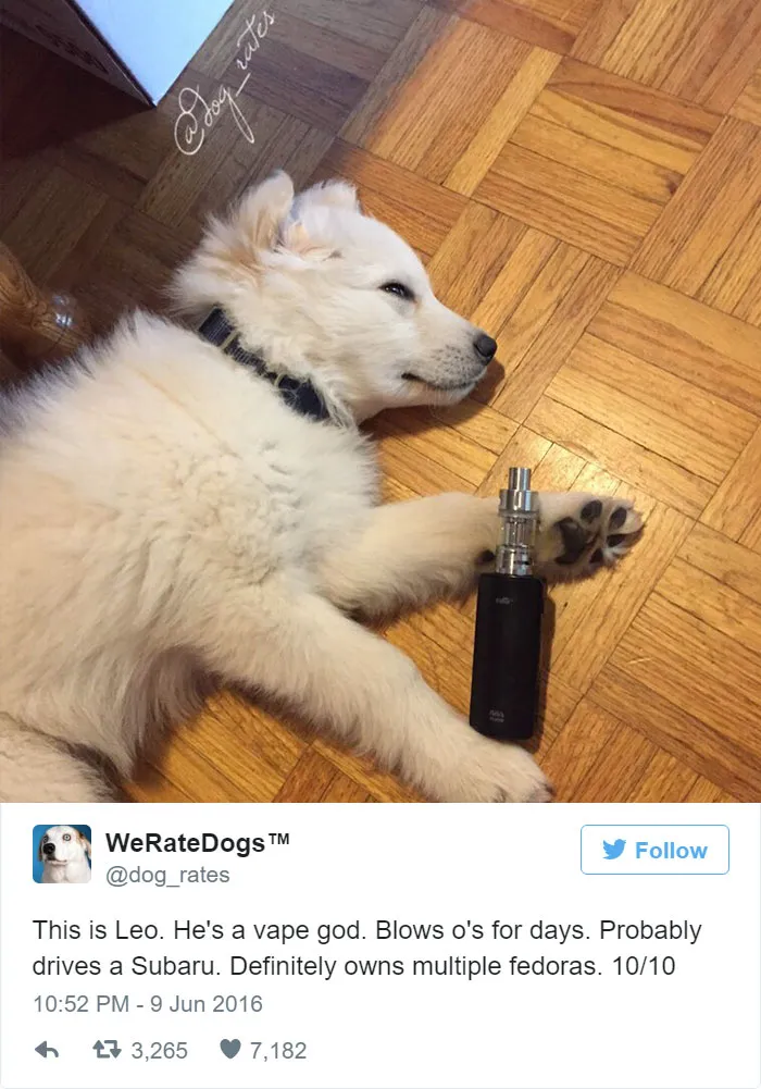 Dog Rating