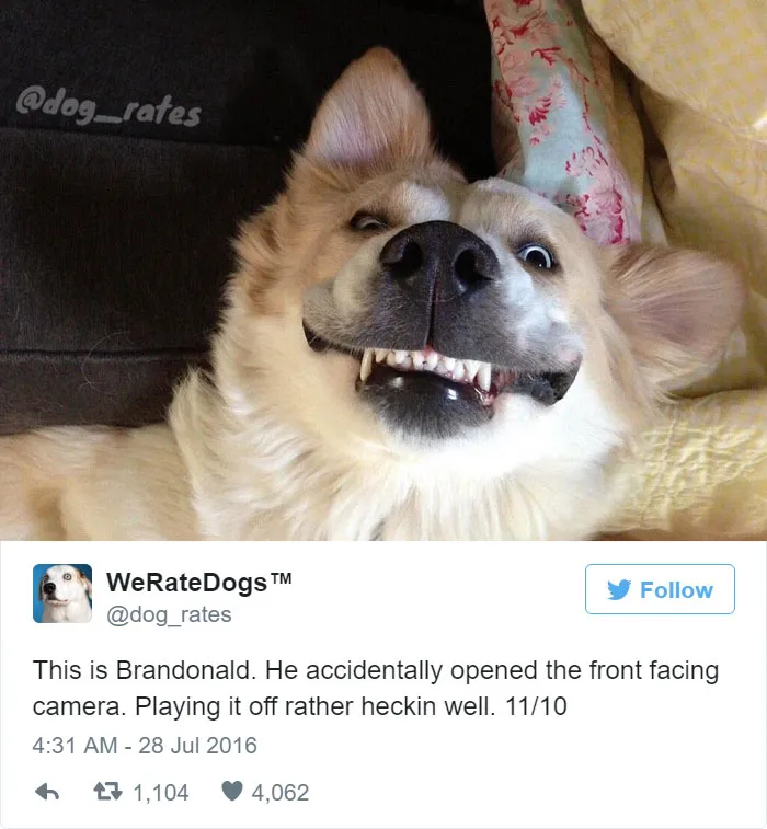 He Accidentally Opened The Front Facing Camera. 11/10