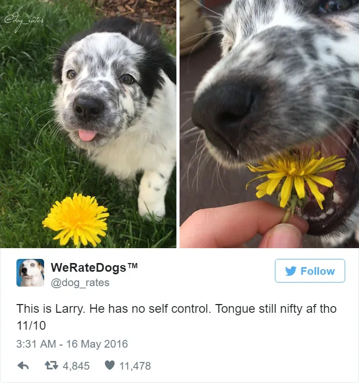 Larry Has No Self Control. 11/10