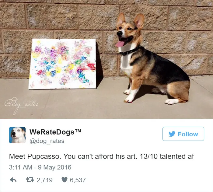 Dog Rating