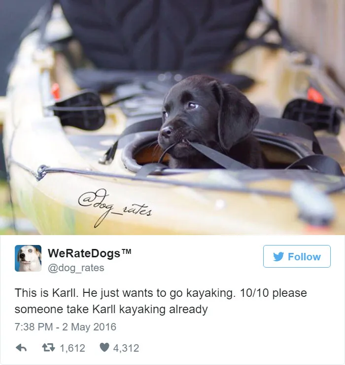 Dog Rating