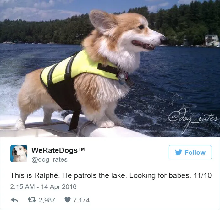 Dog Rating