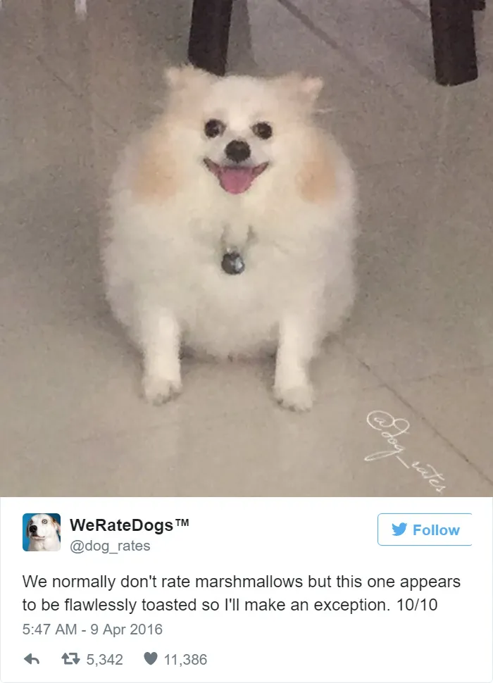 Dog Rating
