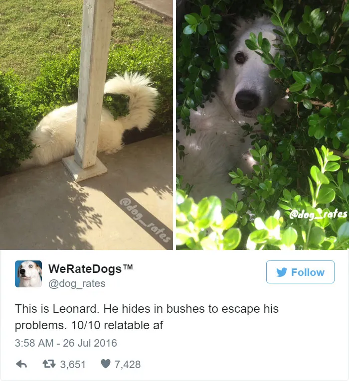 Leonard Hides In Bushes To Escape His Problems. 10/10 Relatable AF