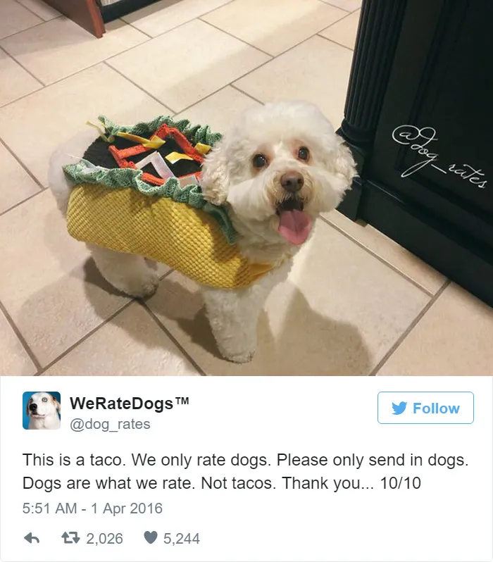 Dog Rating