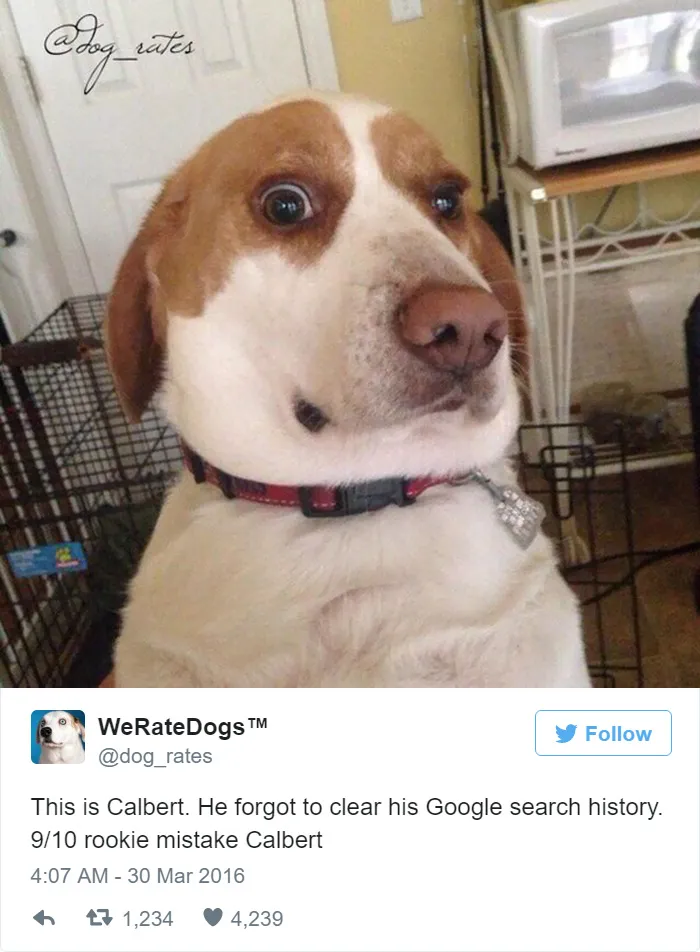 Dog Rating
