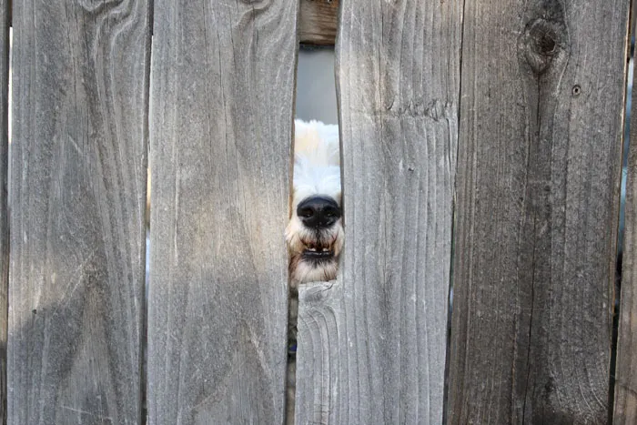 Hi There!