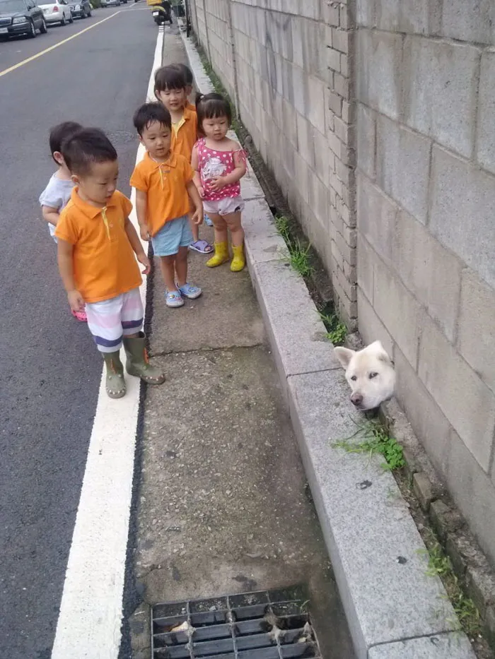 Sup?