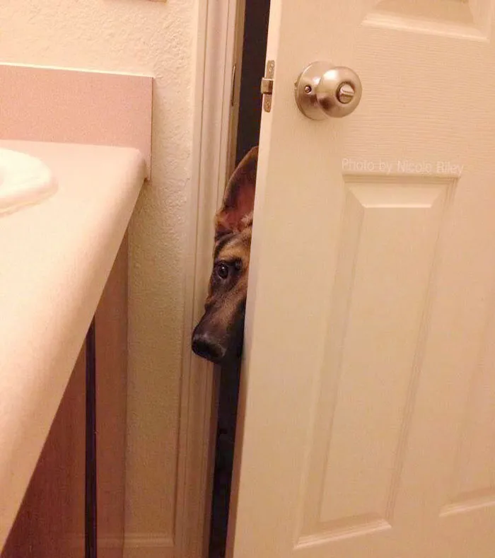 Hello There, Can I Come In?