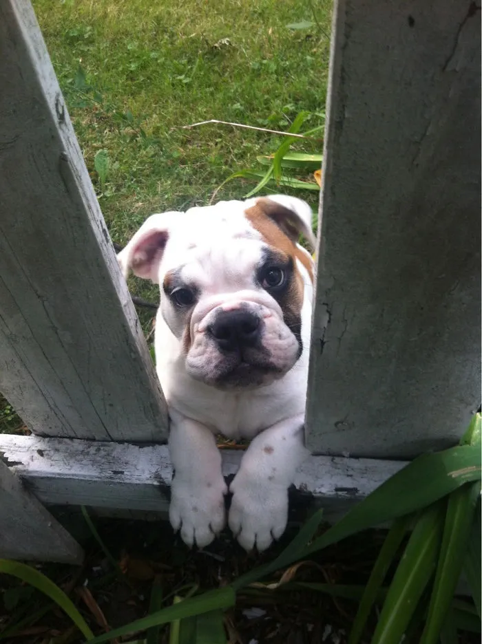 Well Hello There