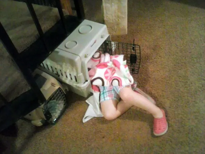 Napping In A Pet Carrier
