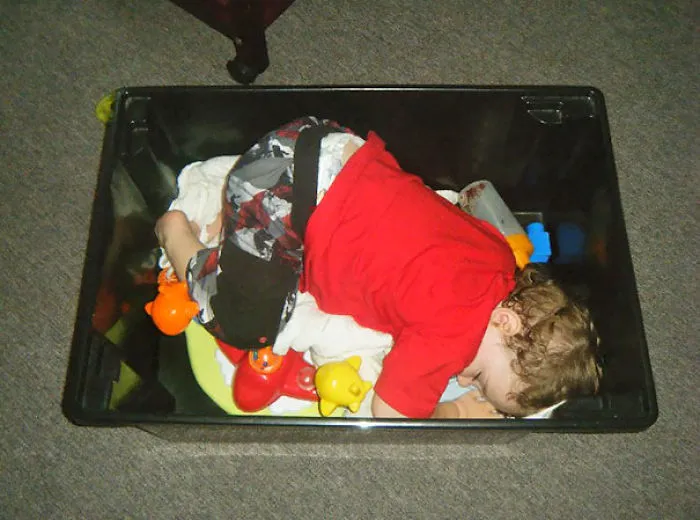 Napping In A  Toy Box