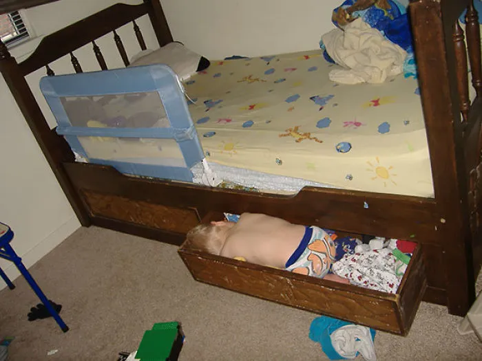 Napping In A Drawer Under The Bed