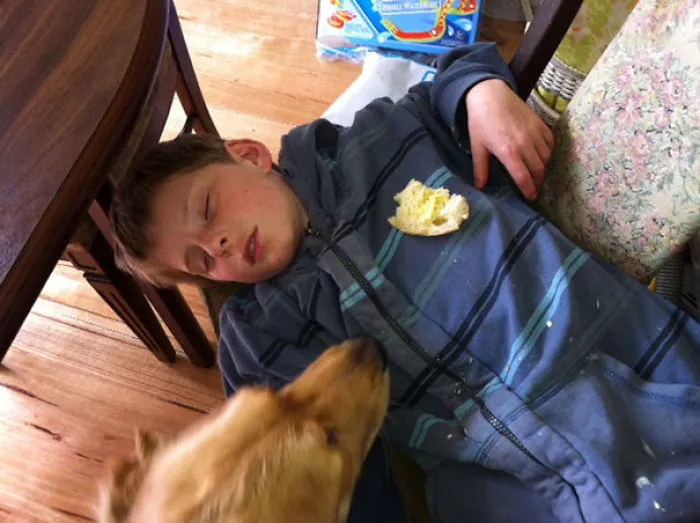 Napping On The Floor With Bread Leftovers