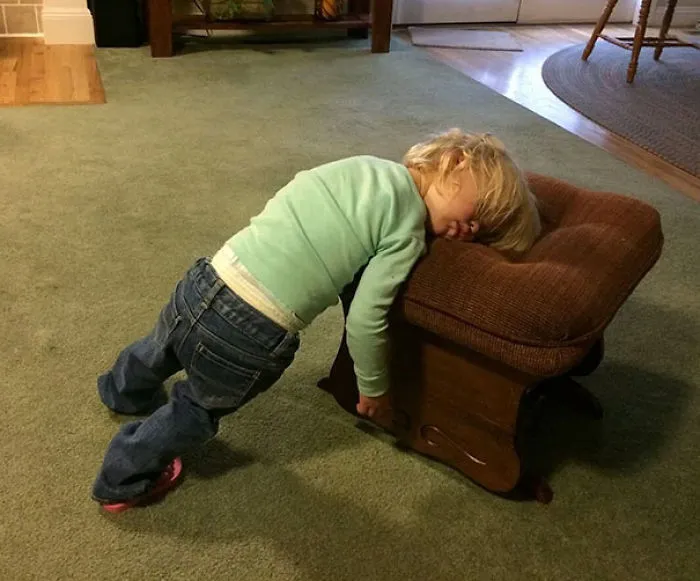 Napping While Standing