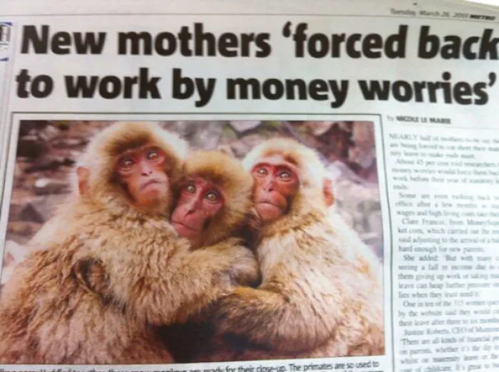This Is Either A Strange Article/photo Combination Or There's A 'K' Missing