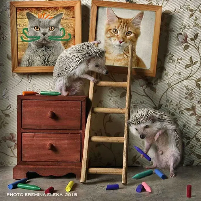 The Secret Life Of Hedgehogs By Elena Eremina
