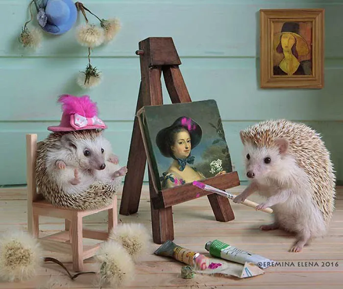 The Secret Life Of Hedgehogs By Elena Eremina