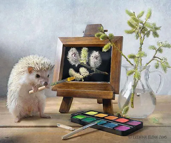 The Secret Life Of Hedgehogs By Elena Eremina