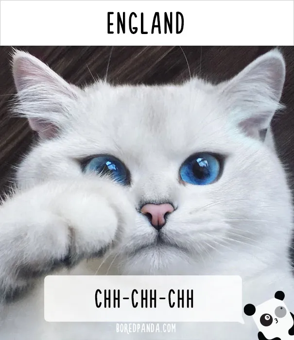 How People Call Cats In Different Countries