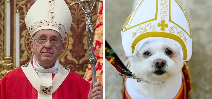 You Are Dog Now