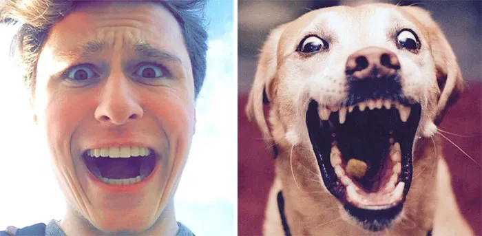 You Are Dog Now