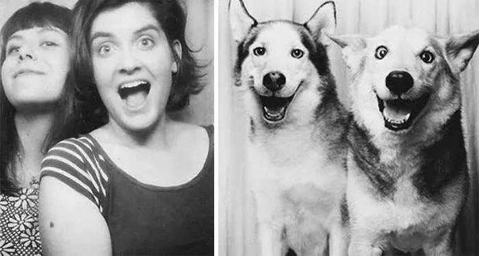 You Are Dog Now