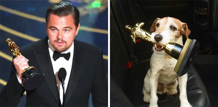 You Are Dog Now