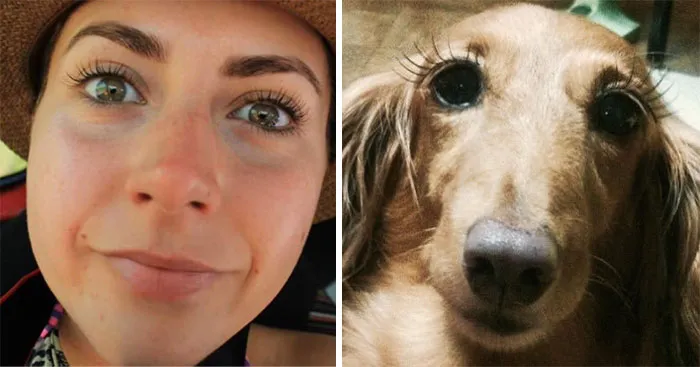 You Are Dog Now