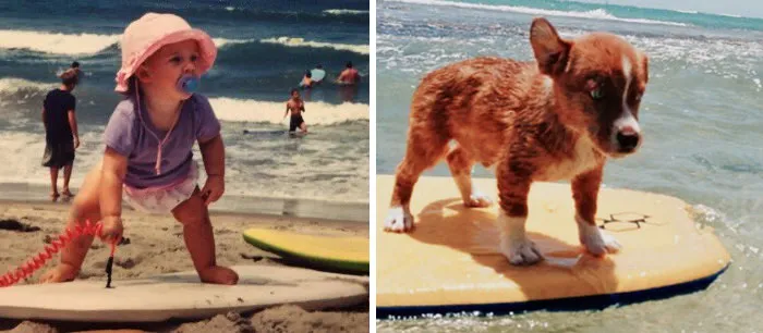 You Are Dog Now