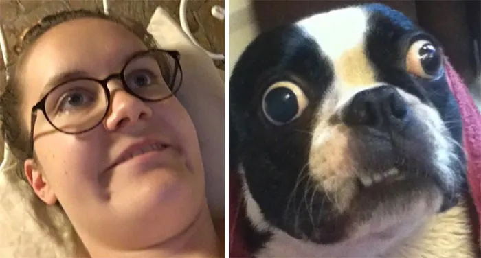 You Are Dog Now