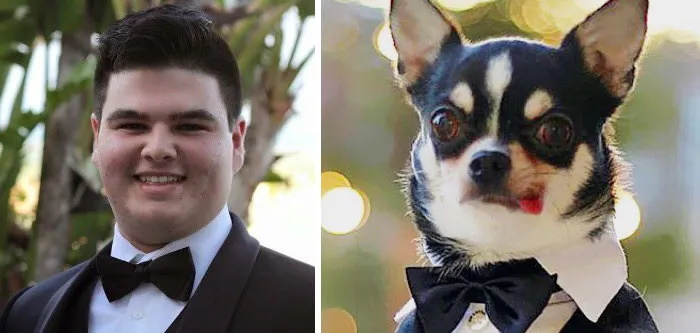 You Are Dog Now