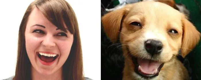 You Are Dog Now