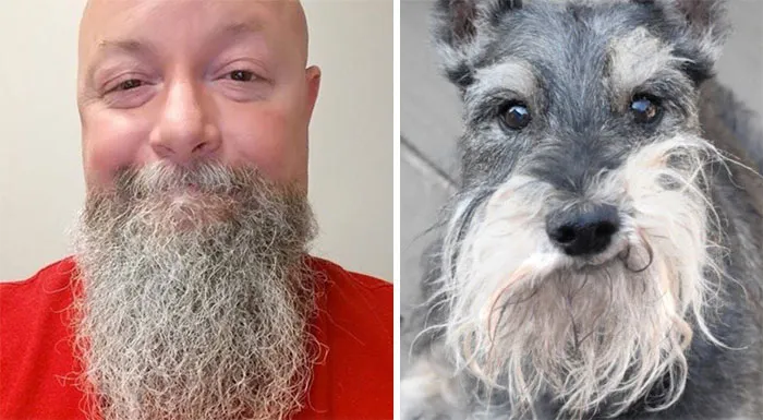 You Are Dog Now