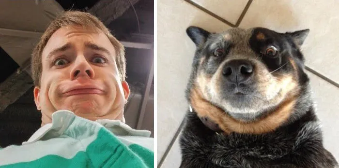 You Are Dog Now