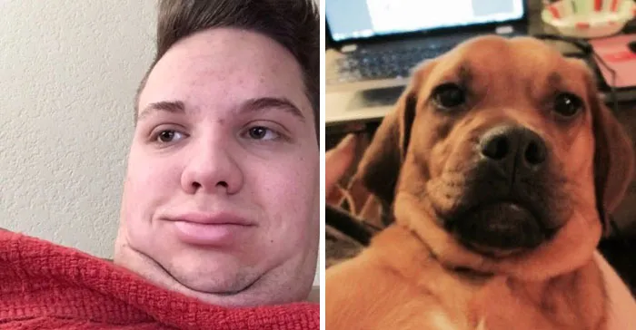 You Are Dog Now